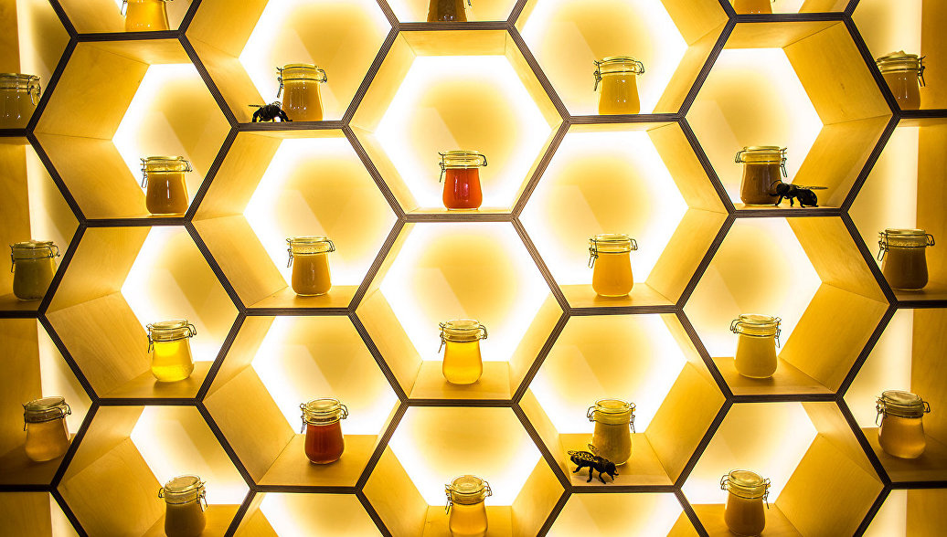 На ВДНХ открылся музей пчеловодства