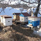 Работа пчеловода в начале сезона