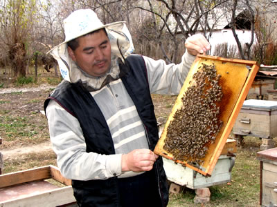 Обучение школьников пчеловодству
