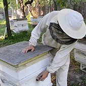 Работа пчеловода в октябре