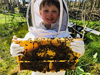 Четырехлетний Оскар хочет стать самым молодым сертифицированным пчеловодом Великобритании