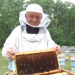 В Самарской области разработали законопроект «О пчеловодстве»